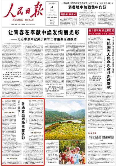 强大的狮子拼图